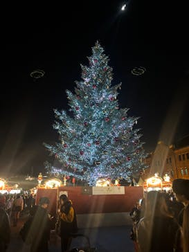 Christmas Market in 横浜赤レンガ倉庫 2025に投稿された画像（2025/11/29）