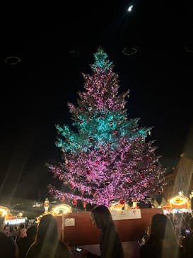 Christmas Market in 横浜赤レンガ倉庫 2025に投稿された画像（2025/11/29）