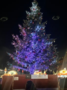 Christmas Market in 横浜赤レンガ倉庫 2025に投稿された画像（2025/11/29）