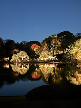 六義園に投稿された画像（2025/11/29）
