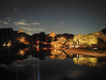 六義園に投稿された画像（2025/11/29）