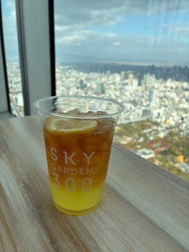 ハルカス300(展望台)に投稿された画像（2025/11/29）