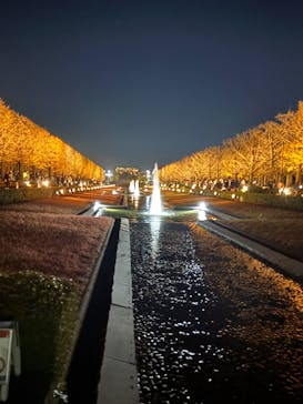 国営昭和記念公園 秋の夜散歩に投稿された画像（2025/11/29）