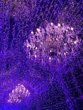 江の島シーキャンドルに投稿された画像（2025/11/29）