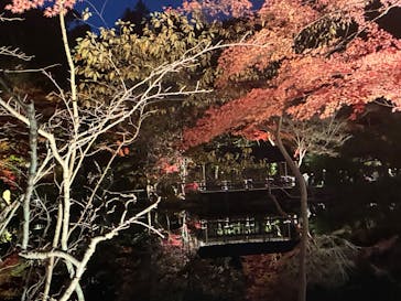 名古屋市東山動植物園に投稿された画像（2025/11/29）