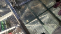 あらかわ遊園に投稿された画像（2025/11/29）