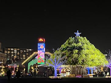 東京メガイルミに投稿された画像（2025/11/30）