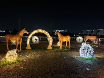 東京メガイルミに投稿された画像（2025/11/30）