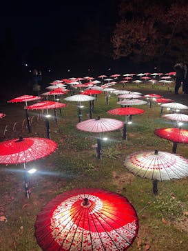 国営昭和記念公園 秋の夜散歩に投稿された画像（2025/11/30）