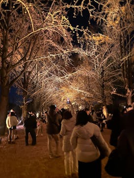 国営昭和記念公園 秋の夜散歩に投稿された画像（2025/11/30）