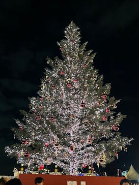 Christmas Market in 横浜赤レンガ倉庫 2025に投稿された画像（2025/11/30）