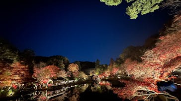 名古屋市東山動植物園に投稿された画像（2025/11/30）