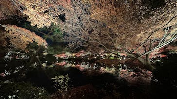 名古屋市東山動植物園に投稿された画像（2025/11/30）