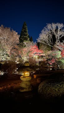名古屋市東山動植物園に投稿された画像（2025/11/30）