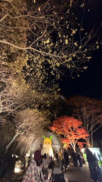 名古屋市東山動植物園に投稿された画像（2025/11/30）