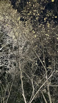 名古屋市東山動植物園に投稿された画像（2025/11/30）