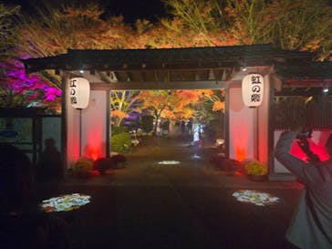 修善寺虹の郷に投稿された画像（2025/11/30）