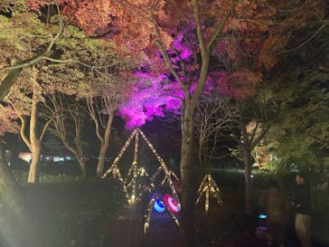 修善寺虹の郷に投稿された画像（2025/11/30）