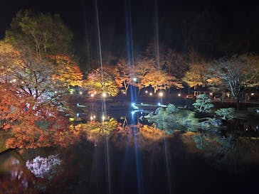 修善寺虹の郷に投稿された画像（2025/11/30）