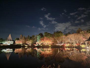 国営昭和記念公園 秋の夜散歩に投稿された画像（2025/11/30）