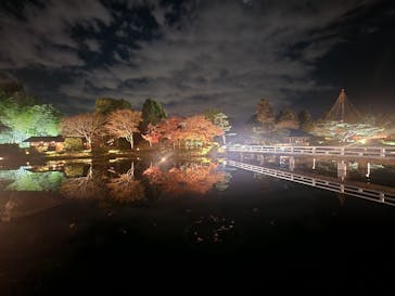 国営昭和記念公園 秋の夜散歩に投稿された画像（2025/11/30）