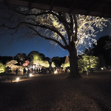 六義園に投稿された画像（2025/11/30）