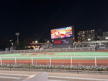 東京メガイルミに投稿された画像（2025/11/30）