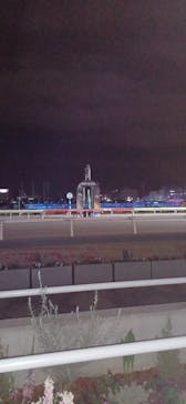 東京メガイルミに投稿された画像（2025/11/30）