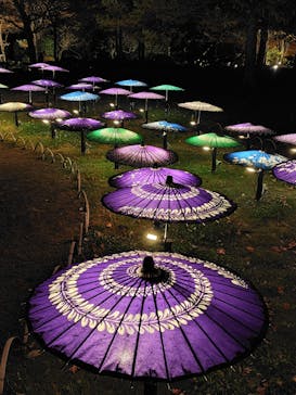 国営昭和記念公園 秋の夜散歩に投稿された画像（2025/11/30）