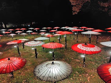 国営昭和記念公園 秋の夜散歩に投稿された画像（2025/11/30）