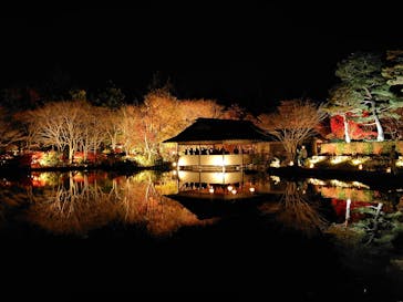 国営昭和記念公園 秋の夜散歩に投稿された画像（2025/11/30）