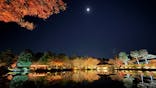 国営昭和記念公園 秋の夜散歩に投稿された画像（2025/11/30）