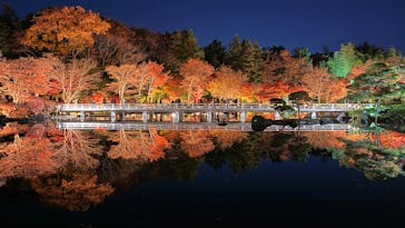 国営昭和記念公園 秋の夜散歩に投稿された画像（2025/11/30）