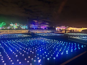 東京メガイルミに投稿された画像（2025/11/30）