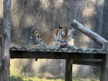 豊橋総合動植物公園・のんほいパークに投稿された画像（2025/11/30）
