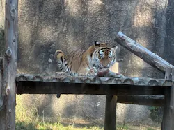 豊橋総合動植物公園・のんほいパークに投稿された画像（2025/11/30）
