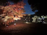 六義園に投稿された画像（2025/11/30）