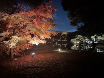 六義園に投稿された画像（2025/11/30）