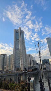 横浜ランドマークタワー 69階展望フロア スカイガーデンに投稿された画像（2025/11/30）