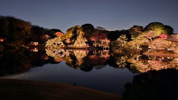 六義園に投稿された画像（2025/11/30）