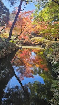 六義園に投稿された画像（2025/11/30）