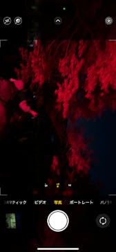 NAKED meets 二条城 2025 観月に投稿された画像（2025/11/30）