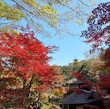 三溪園に投稿された画像（2025/11/30）