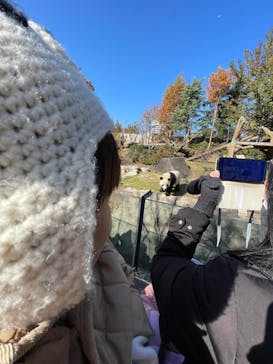 恩賜上野動物園に投稿された画像（2025/11/30）