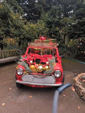 横浜イングリッシュガーデンに投稿された画像（2025/11/30）