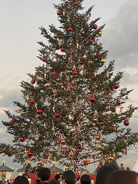 Christmas Market in 横浜赤レンガ倉庫 2025に投稿された画像（2025/11/30）