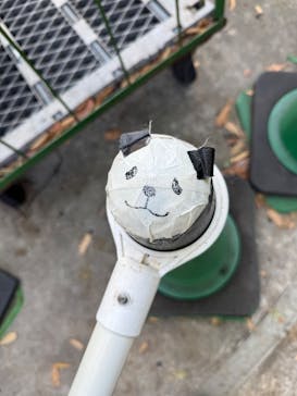 恩賜上野動物園に投稿された画像（2025/11/30）