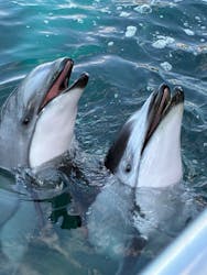 のとじま水族館に投稿された画像（2025/11/30）
