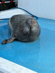 のとじま水族館に投稿された画像（2025/11/30）