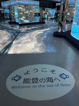 のとじま水族館に投稿された画像（2025/11/30）